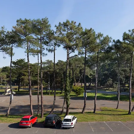 Lumineux Proche Plage, Marche Et Ocean,